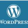 Logo CMS wordpress redax24 webdesign