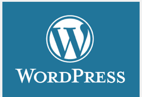 Logo CMS wordpress redax24 webdesign